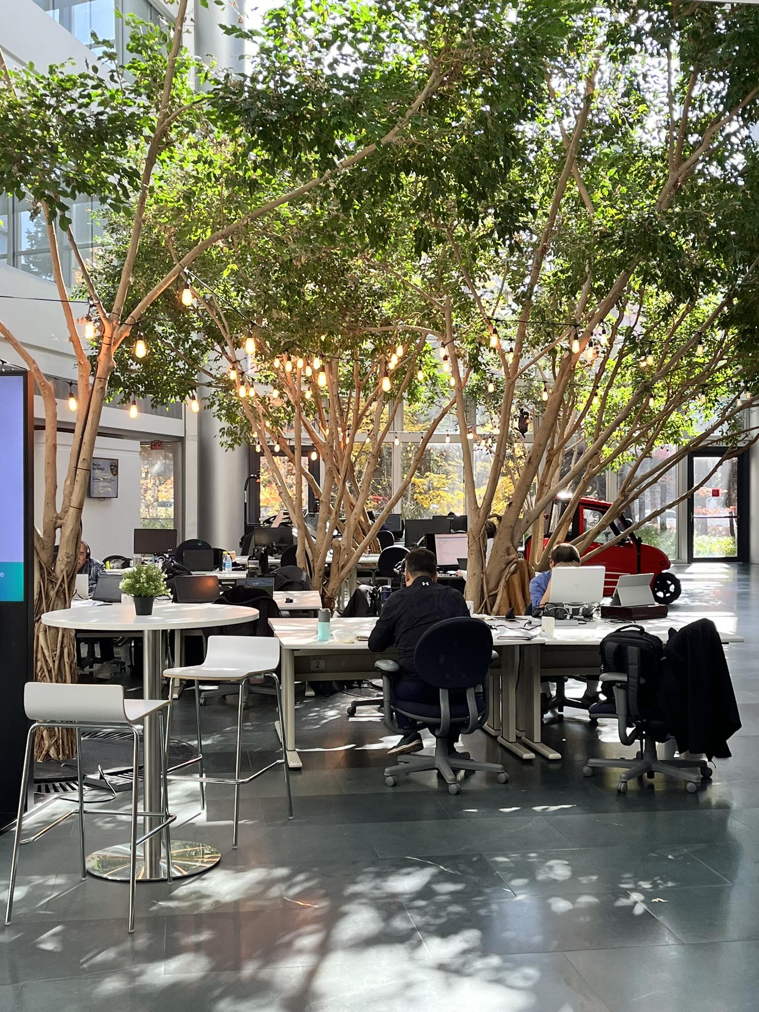 Founder Consultation